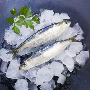 comprar sardina mediterranea